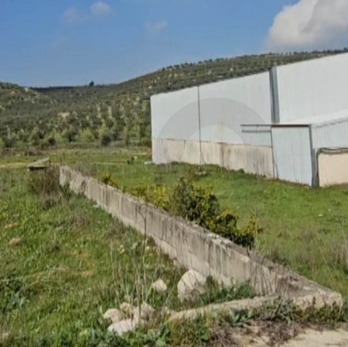 Prime Industrial Land – Zone A | Koura REF#PC134752 — 7