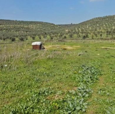 Prime Industrial Land – Zone A | Koura REF#PC134752 — 5