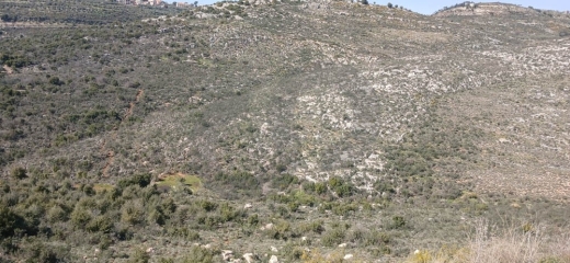 Land parcel ,stunning mountain views, Darbechtar/داربشتار REF#BR133817 — 2