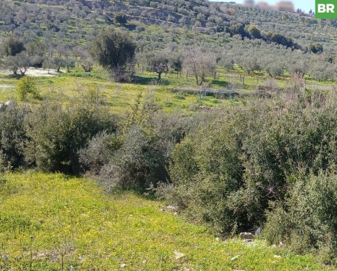 stunning mountain views, Bziza,Koura/بزيزة، كورة REF#BR133819