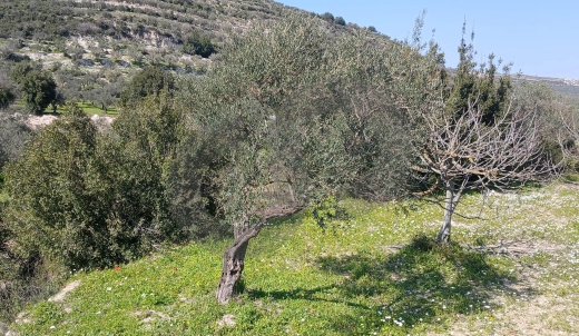 stunning mountain views, Bziza,Koura/بزيزة، كورة REF#BR133819 — 2