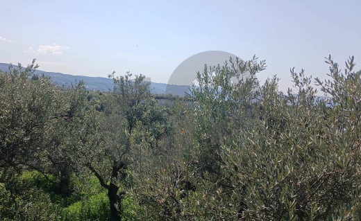 serene, picturesque setting, zakroun, koura/زكرون، كورة REF#BR133816 — 3