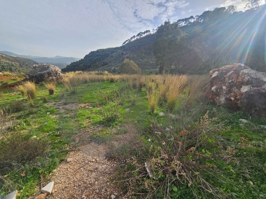 LAND/Koura/الكورة/Unobstructed Mountain view ! REF#PC132873 ! — 2