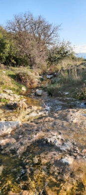 peaceful plot surrounded by nature, koura, bechmezzine REF#BD131211 — 2