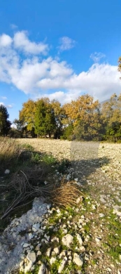 peaceful plot surrounded by nature, koura, bechmezzine REF#BD131211 — 4