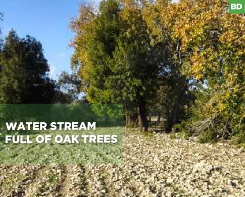 peaceful plot surrounded by nature, koura, bechmezzine REF#BD131211