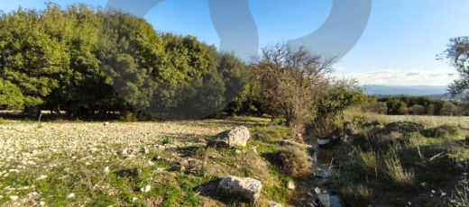 peaceful plot surrounded by nature, koura, bechmezzine REF#BD131211 — 3
