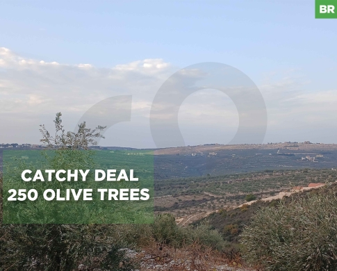 9450 sqm parcel of land IN BZIZA ! REF#BR129831 !