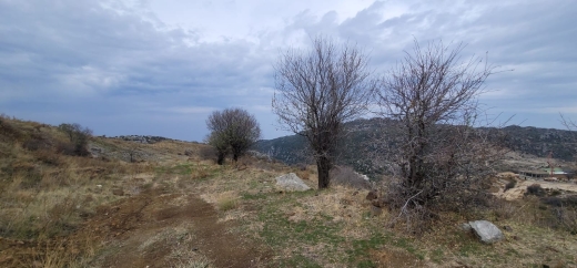 6,745 SQM Land In A Calm Area For Sale In Mayrouba