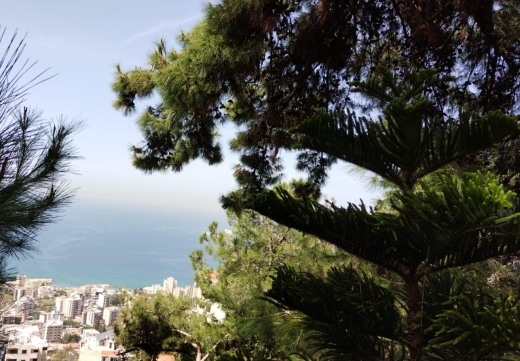 2,820 sqm Land with panoramic sea view for Sale in Sahel Alma