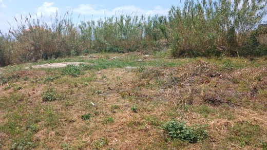 An Amazing Land for Sale in A Calm Area in Adma