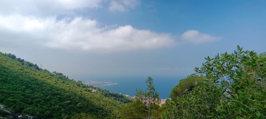 2500 SQM Land for Sale In Chnaniir