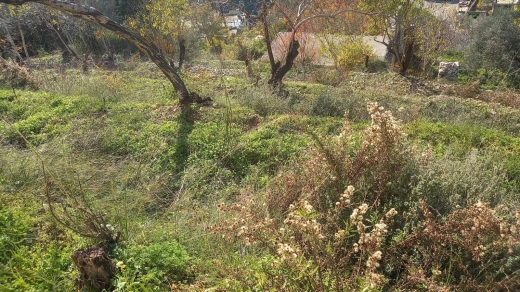 A Residential Land for Sale in Nammoura with a Panoramic Mountain View — 2