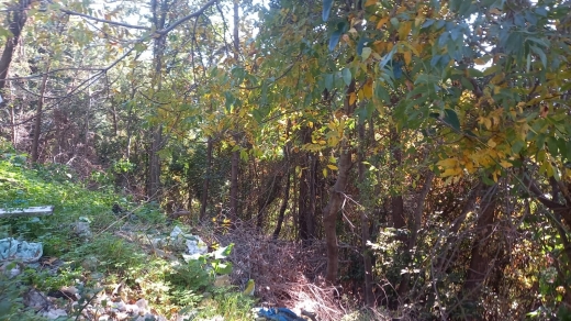 A Residential Land for Sale in Nammoura with a Panoramic Mountain View — 3