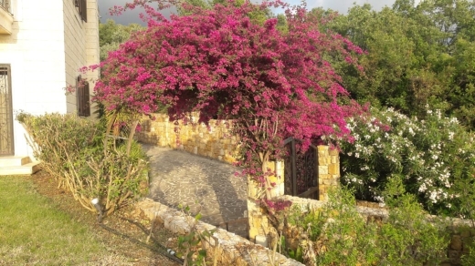 Stone Villa with Garden for Sale In Jeita-Kesrouane — 12