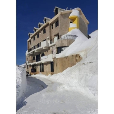 Fully Furnished Building with 9 Chalets for Sale in Ouyoun Al Simen