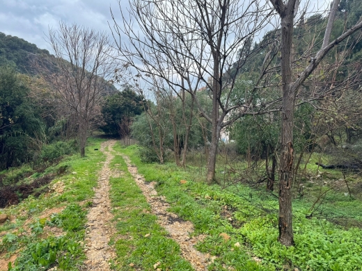 10,000 SQM Land for Sale In A Prime Location In Chnaniir