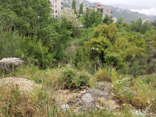 Land for Sale In Rayfoun