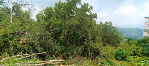 Land With Mountain View For Sale In Klayaat