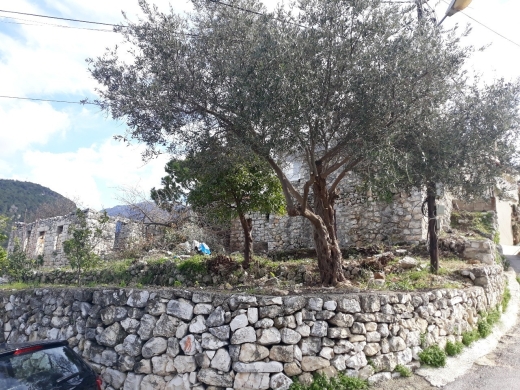 Land With An Old House For Sale in Ghazir — 13