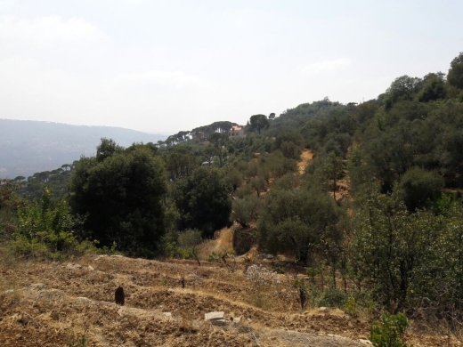 Land for Sale in Al-Kaakour — 4
