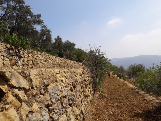 Land for Sale in Al-Kaakour