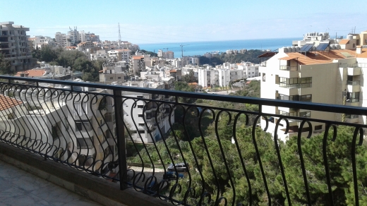 Renovated Apartment For Sale in Dik El Mehdi
