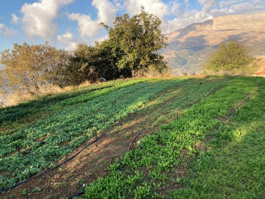 Wonderful land For Sale in Zaarour With A Panoramic View
