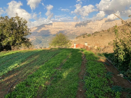 Wonderful land For Sale in Zaarour With A Panoramic View — 2