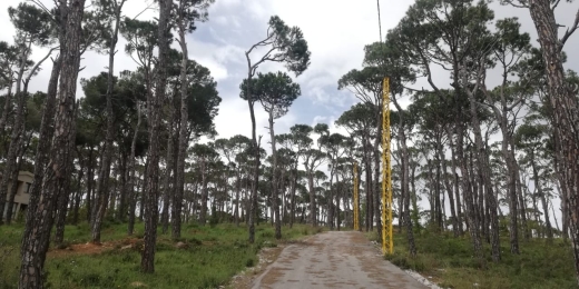 A Unique Land With Amazing Green View for Sale In Bolonia