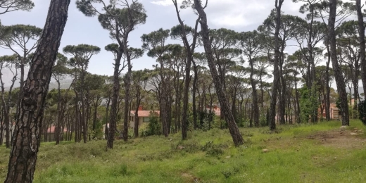 A Unique Land With Amazing Green View for Sale In Bolonia — 2