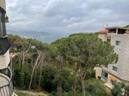 Spacious Apartment With Green View for Sale In Broumana — 14