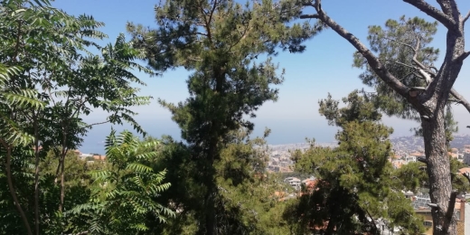 2000 SQM Land for Sale in Roumie
