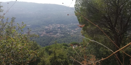 1565 SQM Land With Open Panoramic View For Sale In A Calm Area In Baabdat