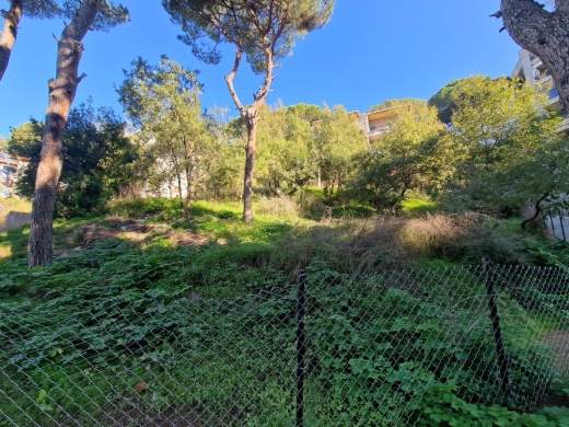 Land with Traditional Lebanese Old Building For Sale in Broumana — 9
