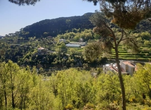 Beautiful Land For Sale in Baskinta Surrounded with Greenery — 3