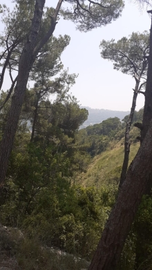 A 3675 SQM Land for Sale in Qonnabet Baabdat