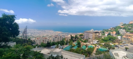 Land With Old House & Seaview for Sale In Beit Meri