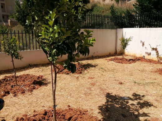 3-Bedroom Apartment for Sale In Broumana — 16