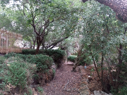 An Old Traditional House With Land & Partial View for Sale In Bikfaya — 11