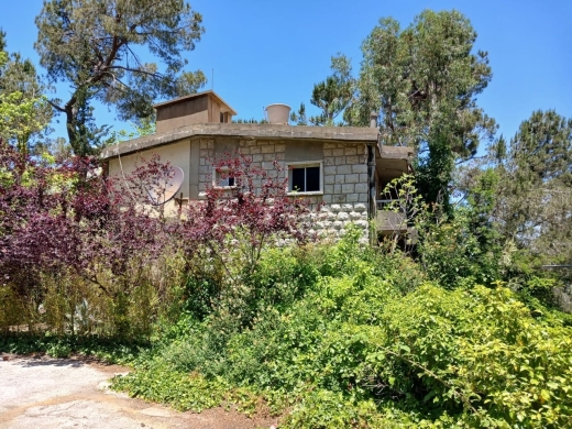Old House With Land For Sale In Naas