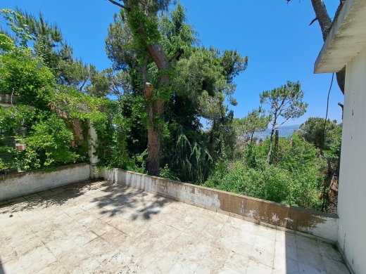 Old House With Land For Sale In Naas — 4