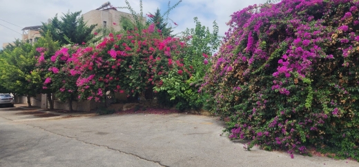 Spacious Sublime Villa With Garden For Sale In Mansourieh — 14