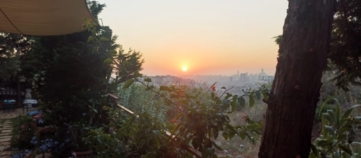 Spacious Sublime Villa With Garden For Sale In Mansourieh — 5