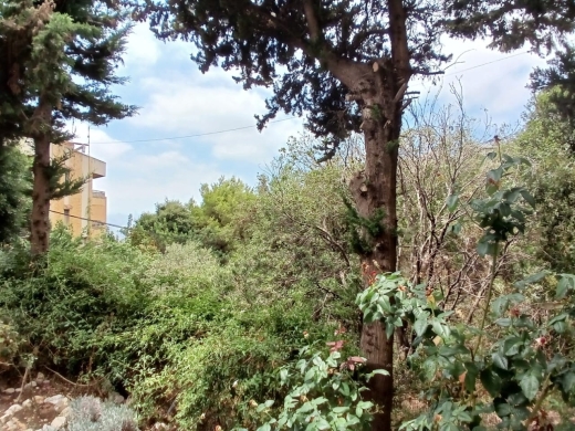 A 940 SQM Land With Open View For Sale in Rabieh