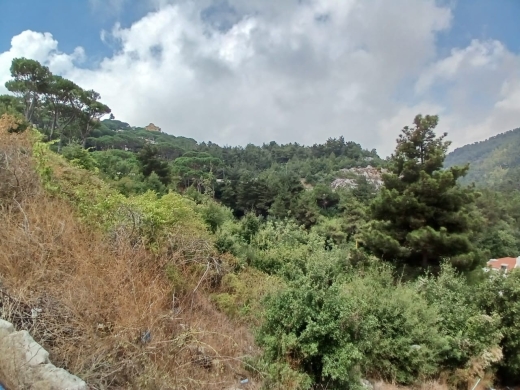 2,650 SQM Land For Sale In Baabdat Mar Chaaya — 2