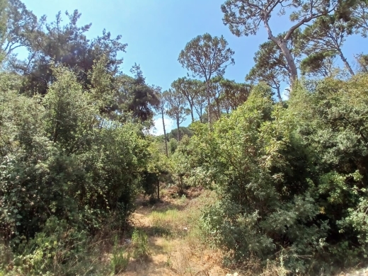 2,650 SQM Land For Sale In Baabdat Mar Chaaya