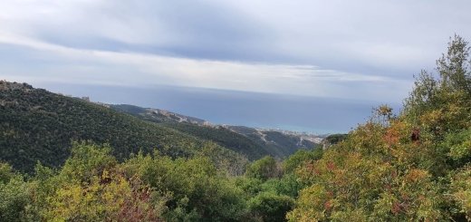 Land for Sale in Bechtlida Jbeil