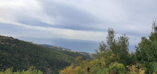 Land for Sale in Bechtlida Jbeil — 2