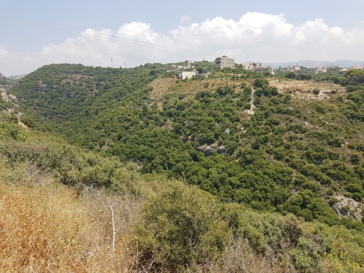 Land For Sale in Aamchit — 3